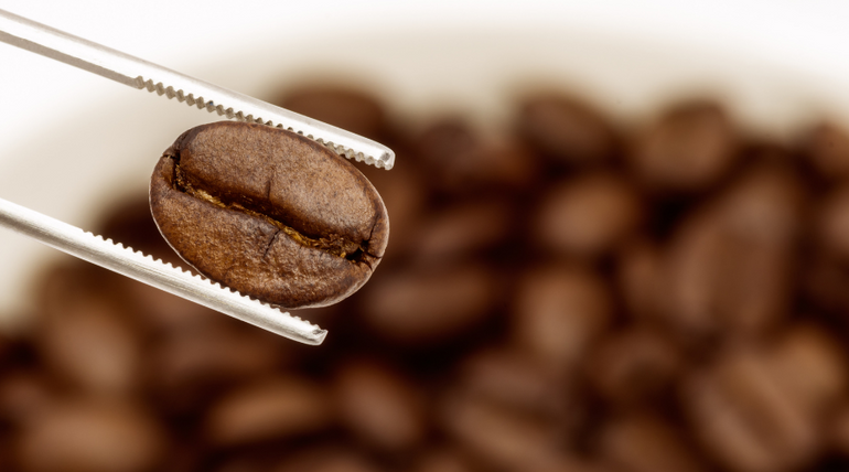 Specialty Coffee: An Immersive Guide - Paradise Roasters – Paradise ...