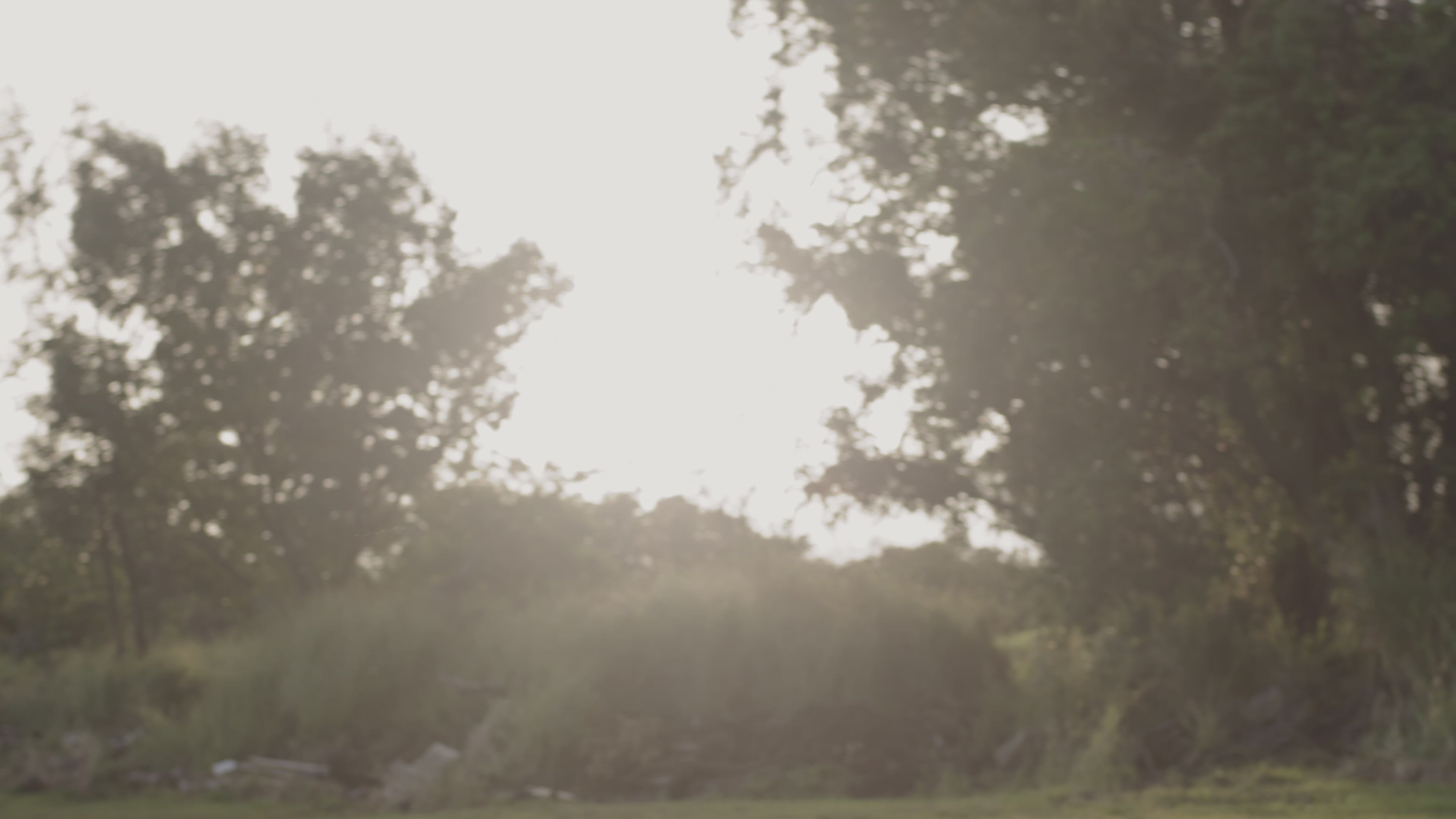 Ka‘ū Red Catuai Peaberry