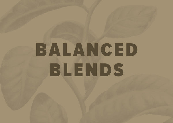 COFFEE SUBSCRIPTION - BALANCED BLENDS