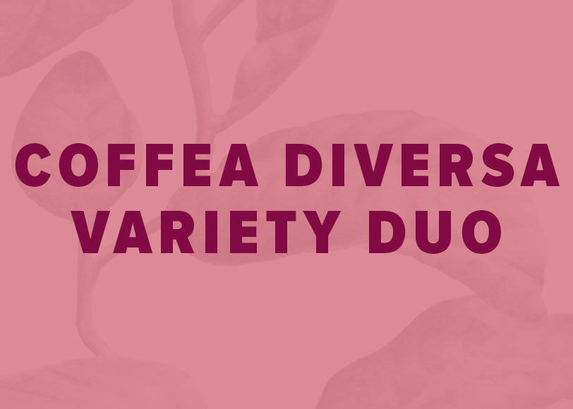 Coffea_Diversa_064febec-881b-47c7-b97c-649805de0132.jpg