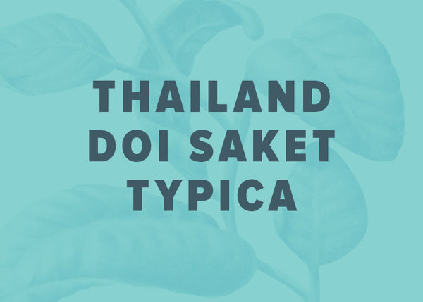 Thailand Doi Saket Typica Anaerobic Washed