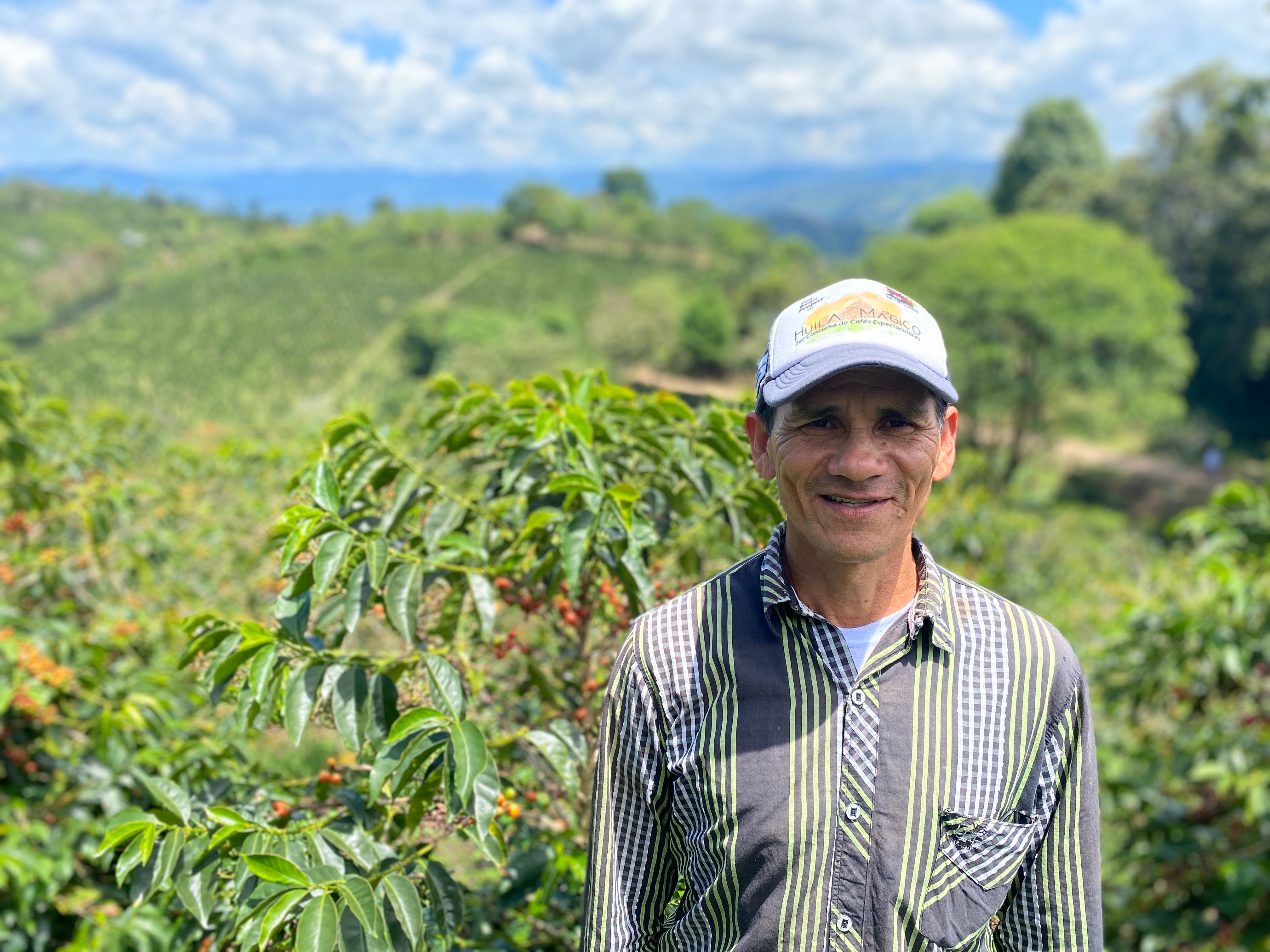 コロンビア ピンクバーボン - 売り切れ