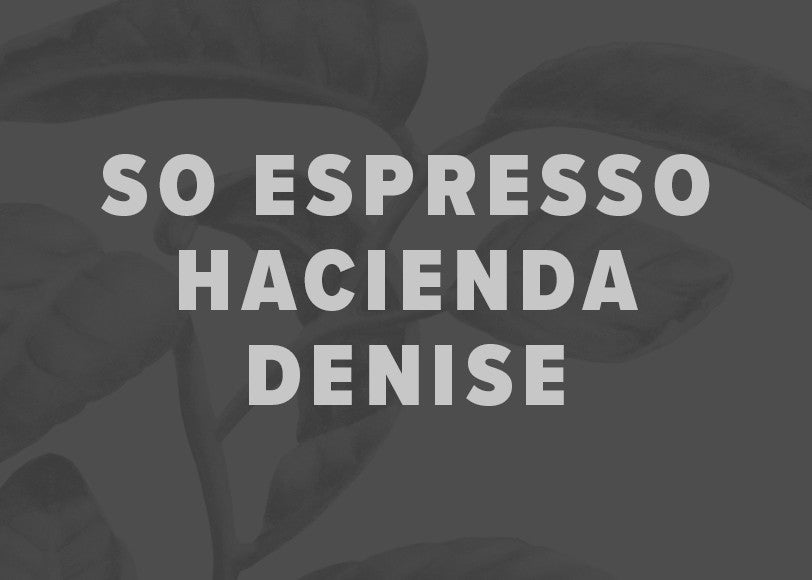 Ecuador Hacienda Legrand Robusta Lactic Natural