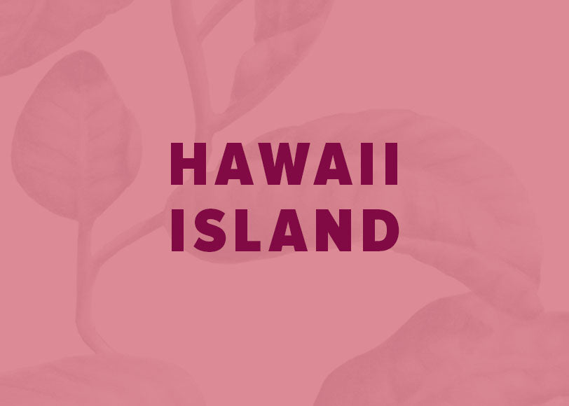 Hawaii Island Hawaiian coffee 3 month coffee subscription gift