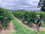 Hawaii Ka‘ū Bourbon Anaerobic Natural