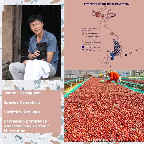 Vietnam Robusta Carbonic Maceration -Future Farm