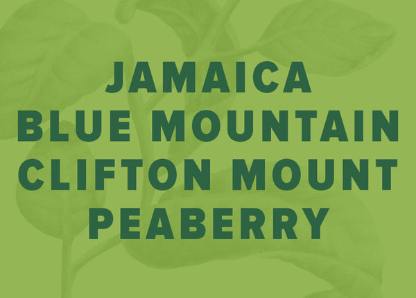 Jamaica Blue Mountain -Clifton Mount Peaberry