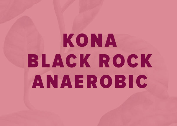 Kona Yeast Fermentation - Black Rock Farm