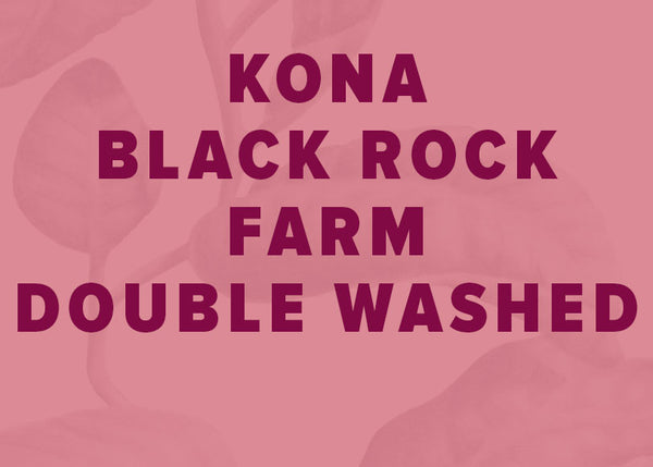Kona Double Washed - Black Rock Farm
