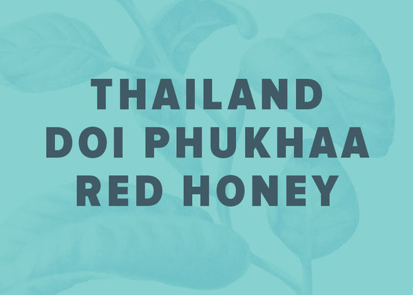 Thailand Nan -Doi Phu Khaa Honey