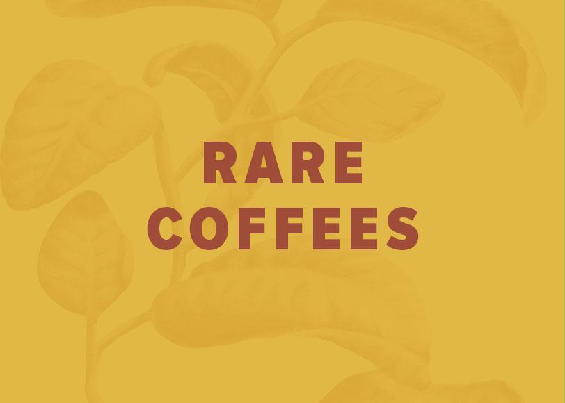 Rare Coffee Beans