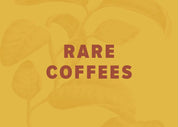 6 Month Prepaid Gift Subscription - Rare Coffees Tour 4oz