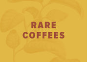 3 Month Prepaid Gift Subscription - Rare Coffees Tour 4oz