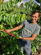 コナSL34酵母発酵ウォッシュドピーベリー - ウルウェヒコーヒーファーム