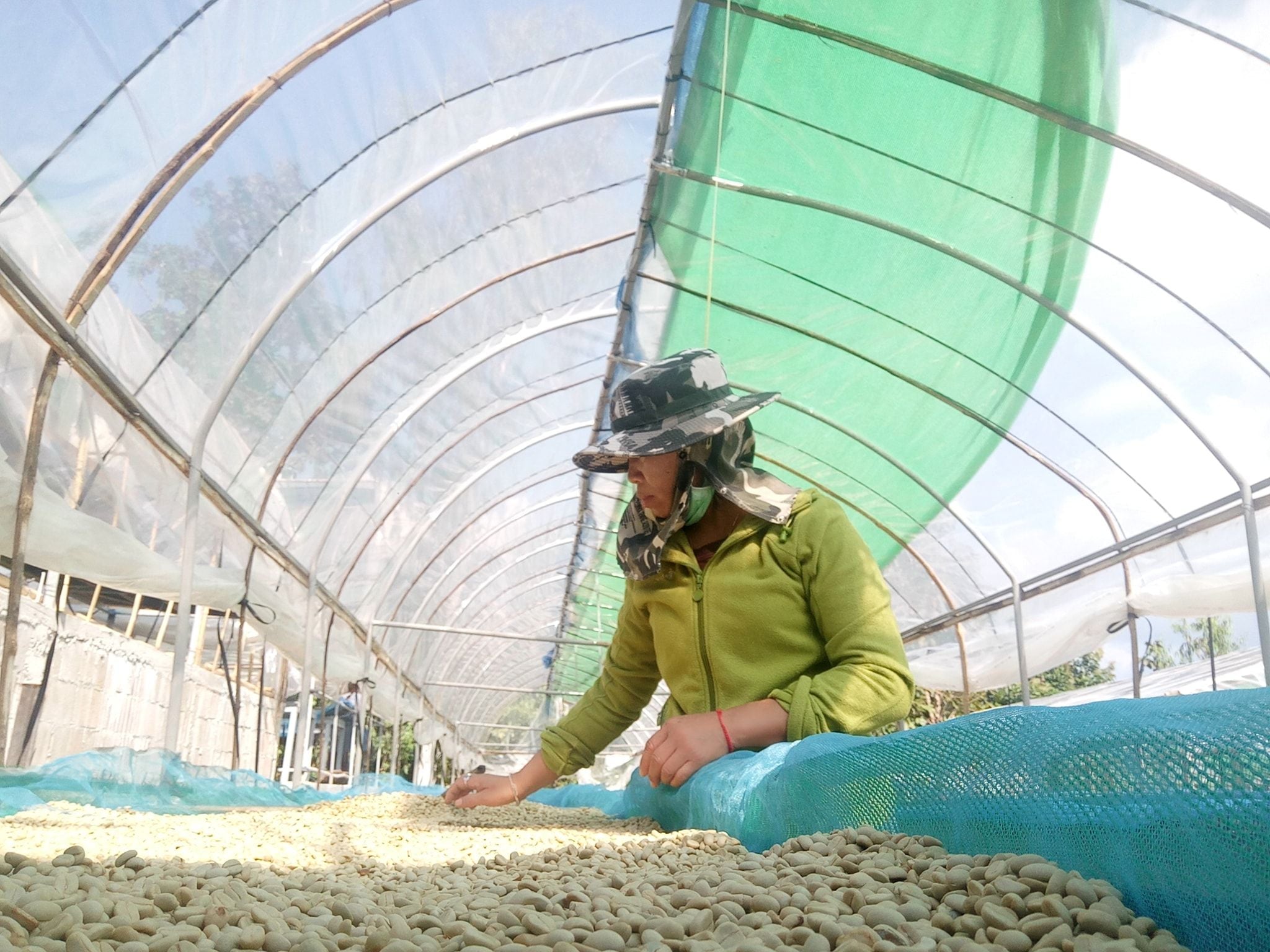 Thailand Omkoi - Sopa's Estate