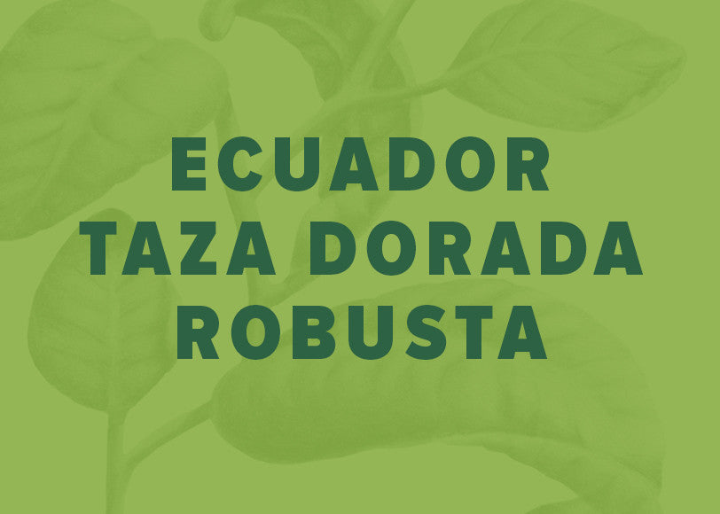 Ecuador Taza Dorada Robusta 3rd Place -Conilon Natural