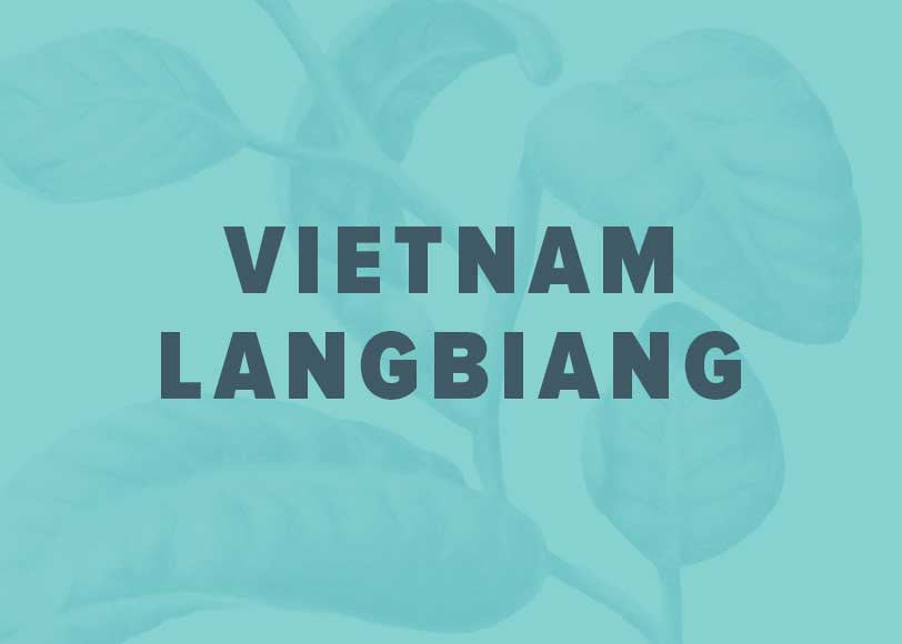 Vietnam-Langbiang.jpg