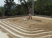 Thailand Wiang Pa Po Dark Roast