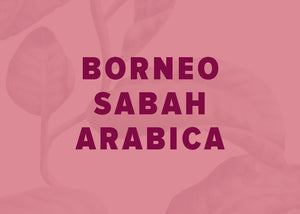 Borneo Sabah Arabica Coffee Beans