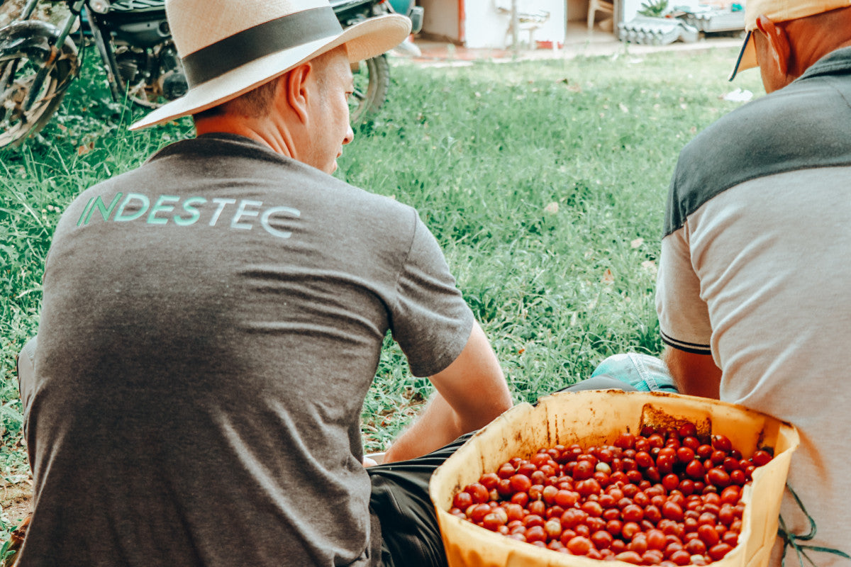 Colombia Finca El Paraiso -Geisha Letty