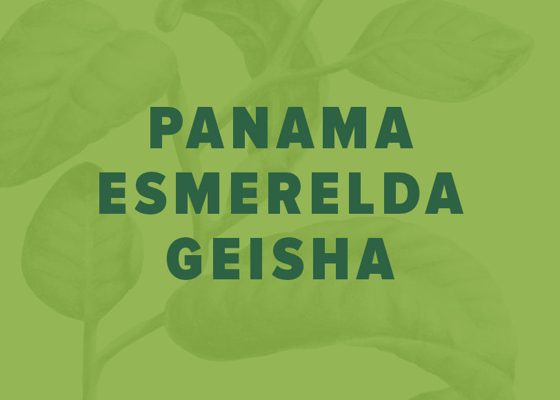 esmerela-geisha.jpg