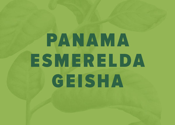 Panama Esmeralda Geisha Dark Roast