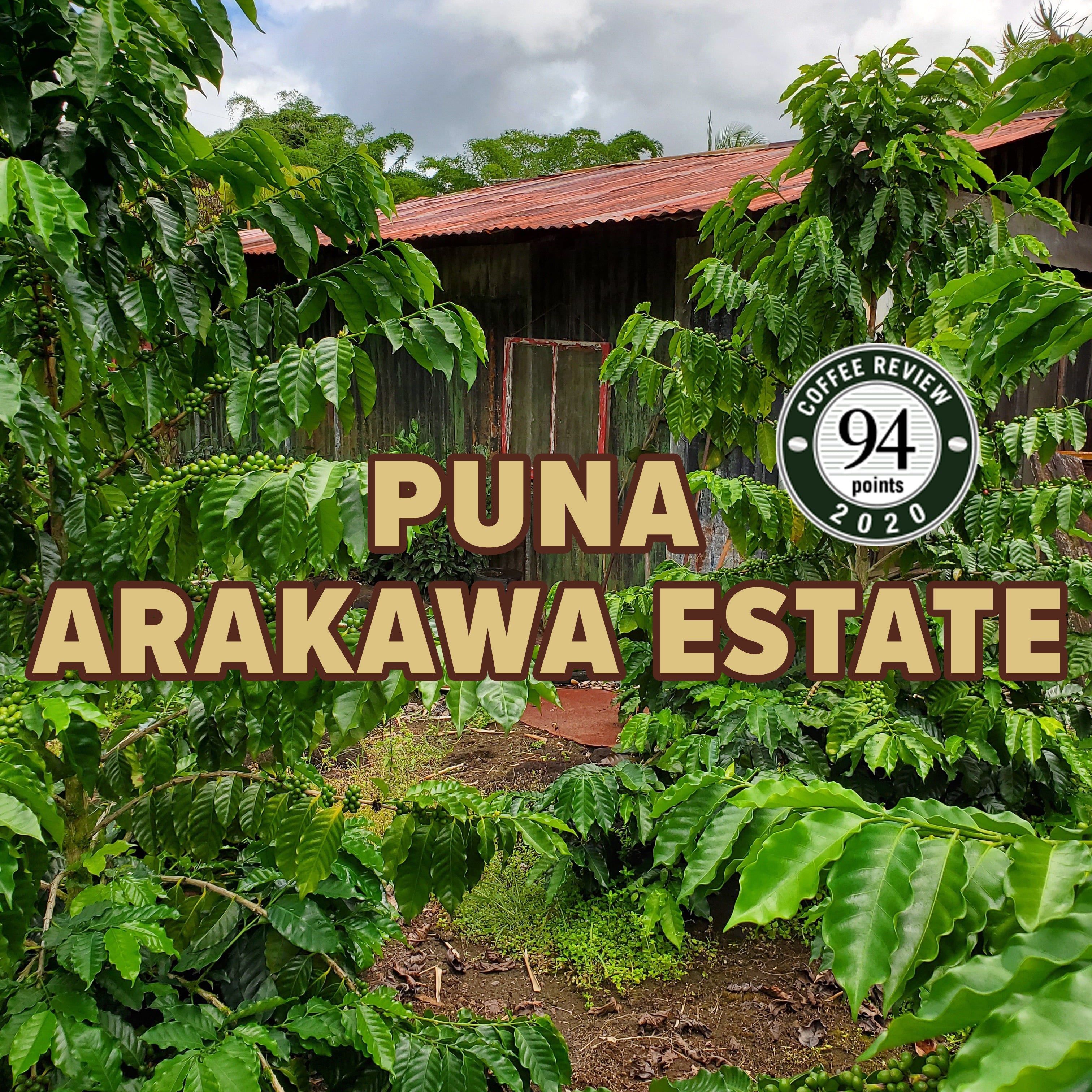 ハワイプナアナエロビックウォッシュド