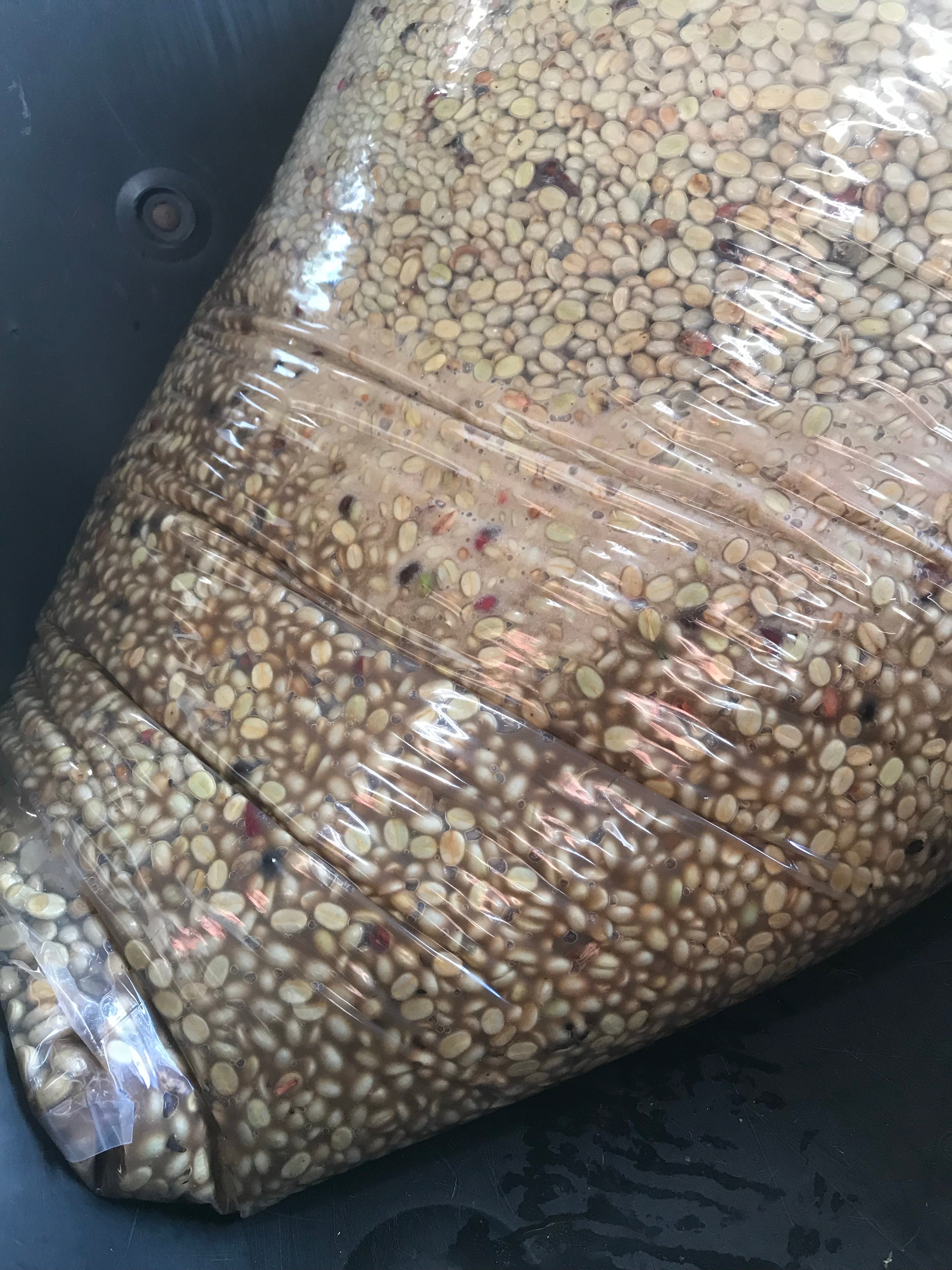 コナ ラクティック ウォッシュド