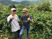 Malaysia Sabah Natural