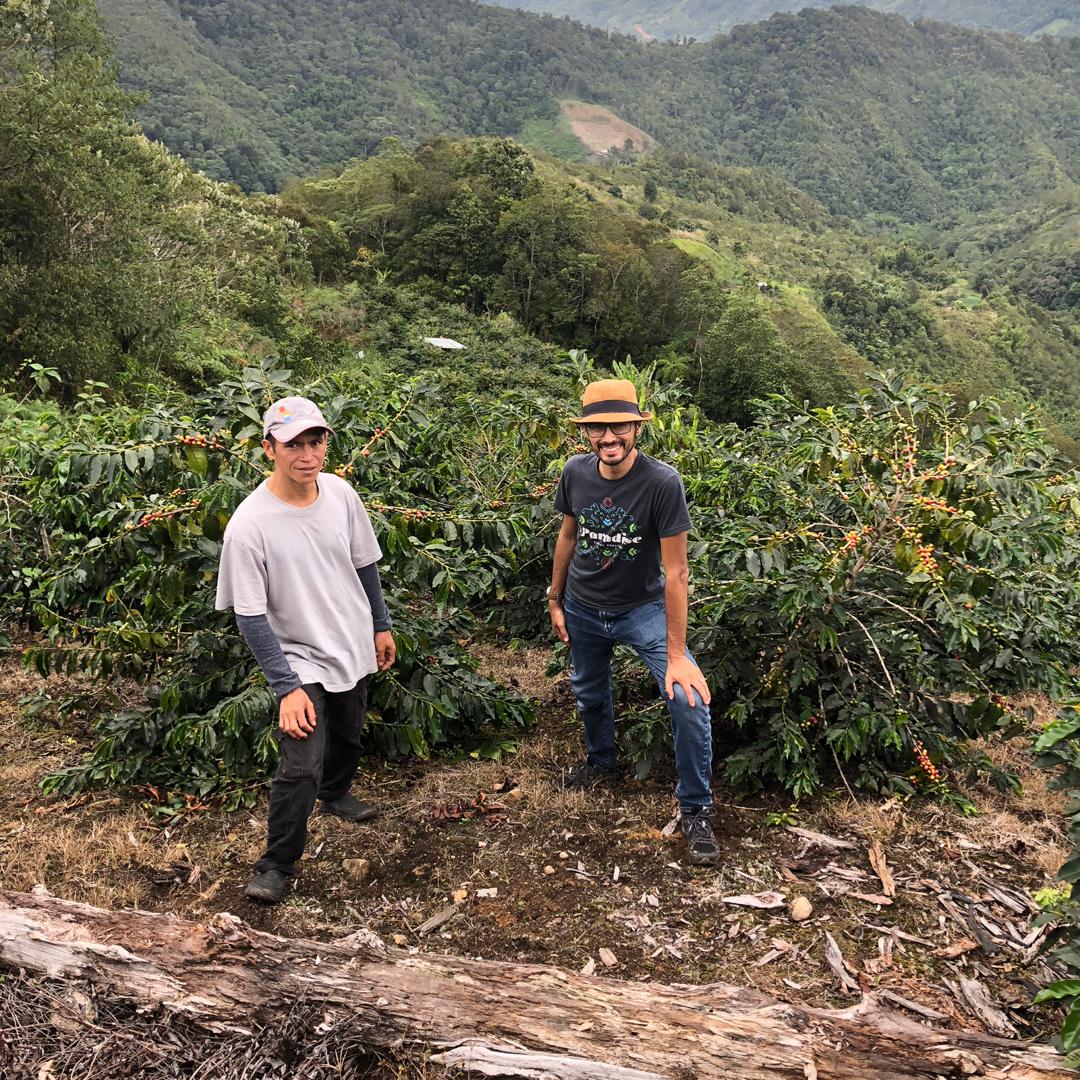 マレーシア・サバハニー