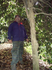 Panama Mama Cata Geisha Champagne Natural **Next Roast Date: Wednesday, March 22