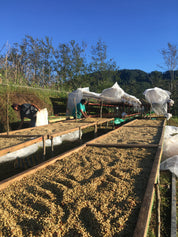 フィリピン シティオ キスボン ウォッシュド