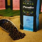 熟成スマトラセミガ7