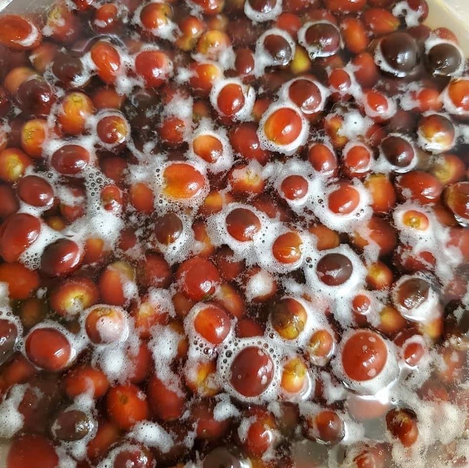 Hawai‘i Ka‘ū Champagne Natural Half-Caf