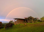 スマトライエローバーボン - リサ＆レオのオーガニック