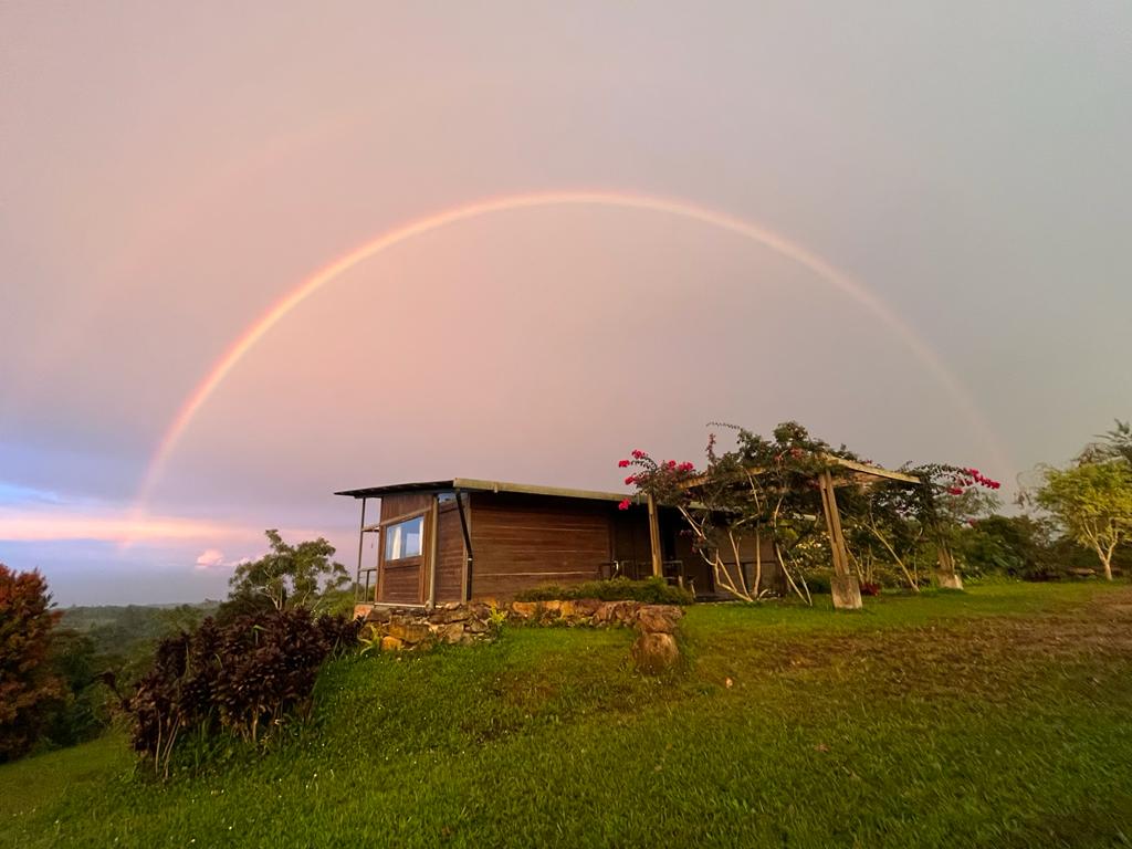 スマトライエローバーボン - リサ＆レオのオーガニック