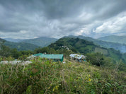 フィリピン シティオ キスボン ウォッシュド