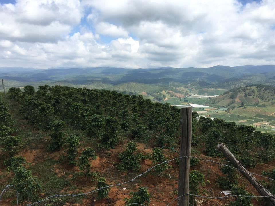 ベトナム ランビアン - タム＆パット