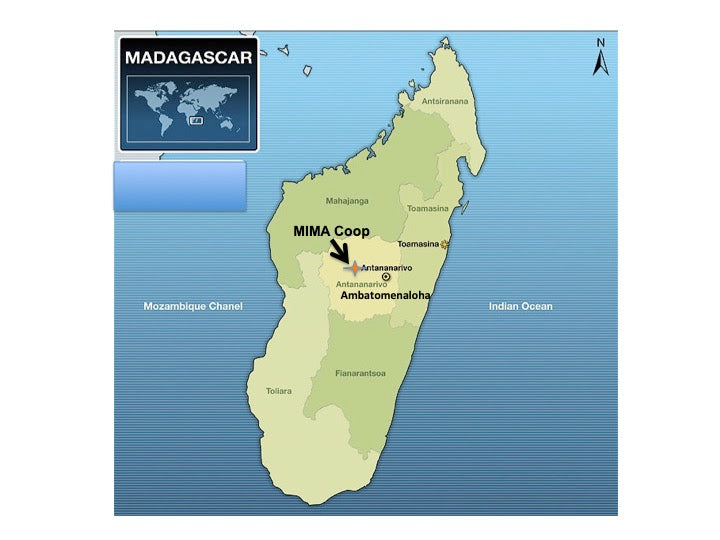 マダガスカルイエローバーボンナチュラル