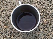 スマトラシマンゴの森