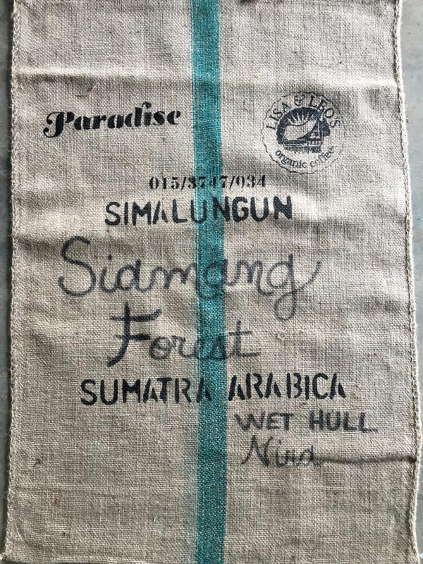 Sumatra Siamang Forest