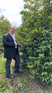 Panama Mokkita Natural -Mama Cata Estate