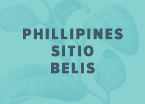Philippines Sitio Belis Washed