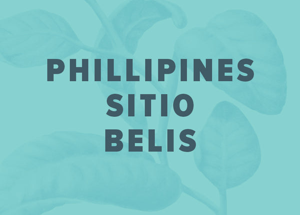 Philippines Sitio Belis Anaerobic Washed