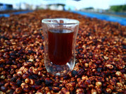 Thailand Thung Chang Robusta Honey