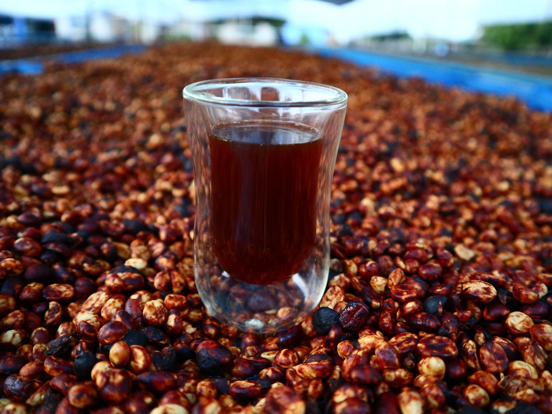 Thailand Thung Chang Robusta Honey