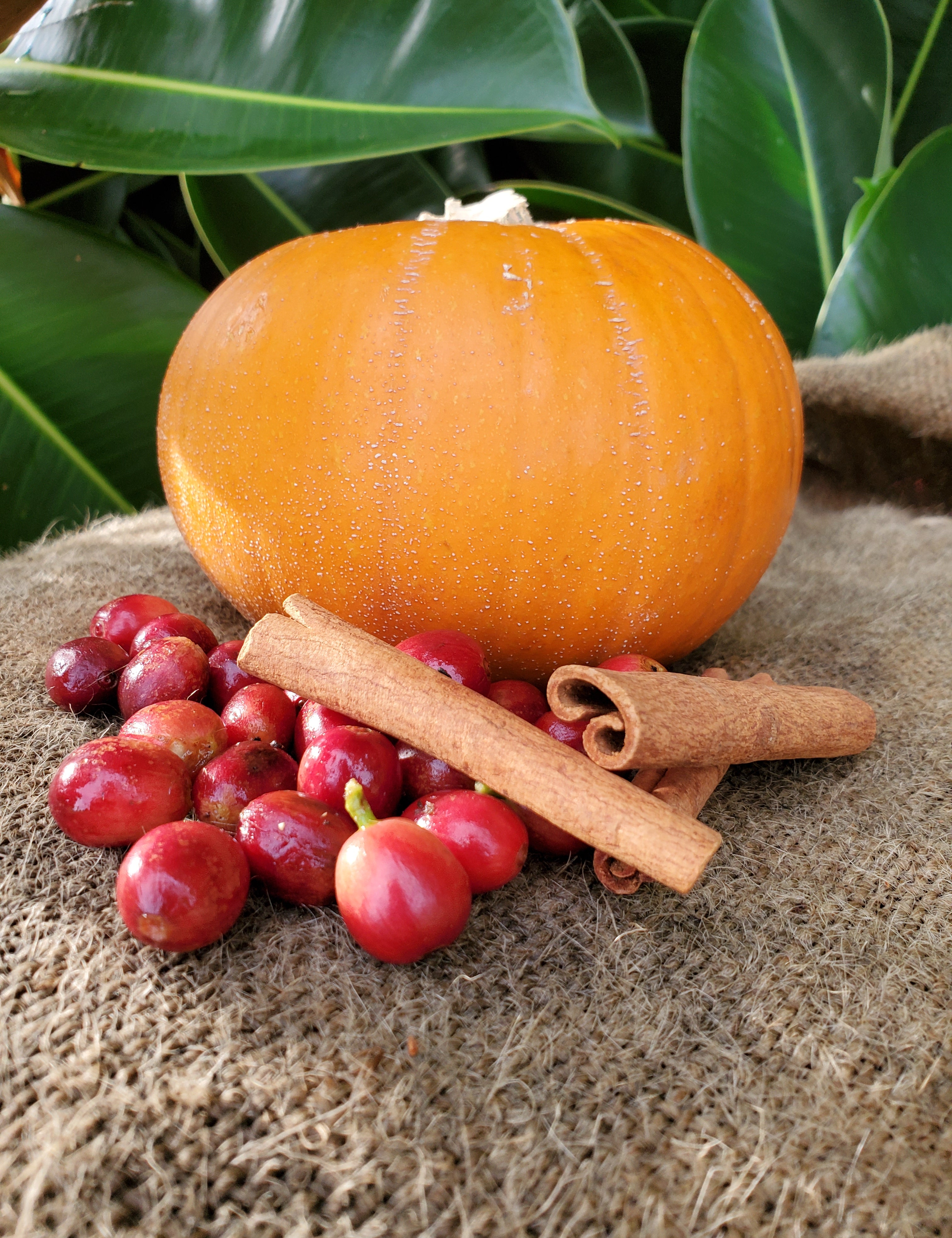 Pumpkin Spice Kona Coffee