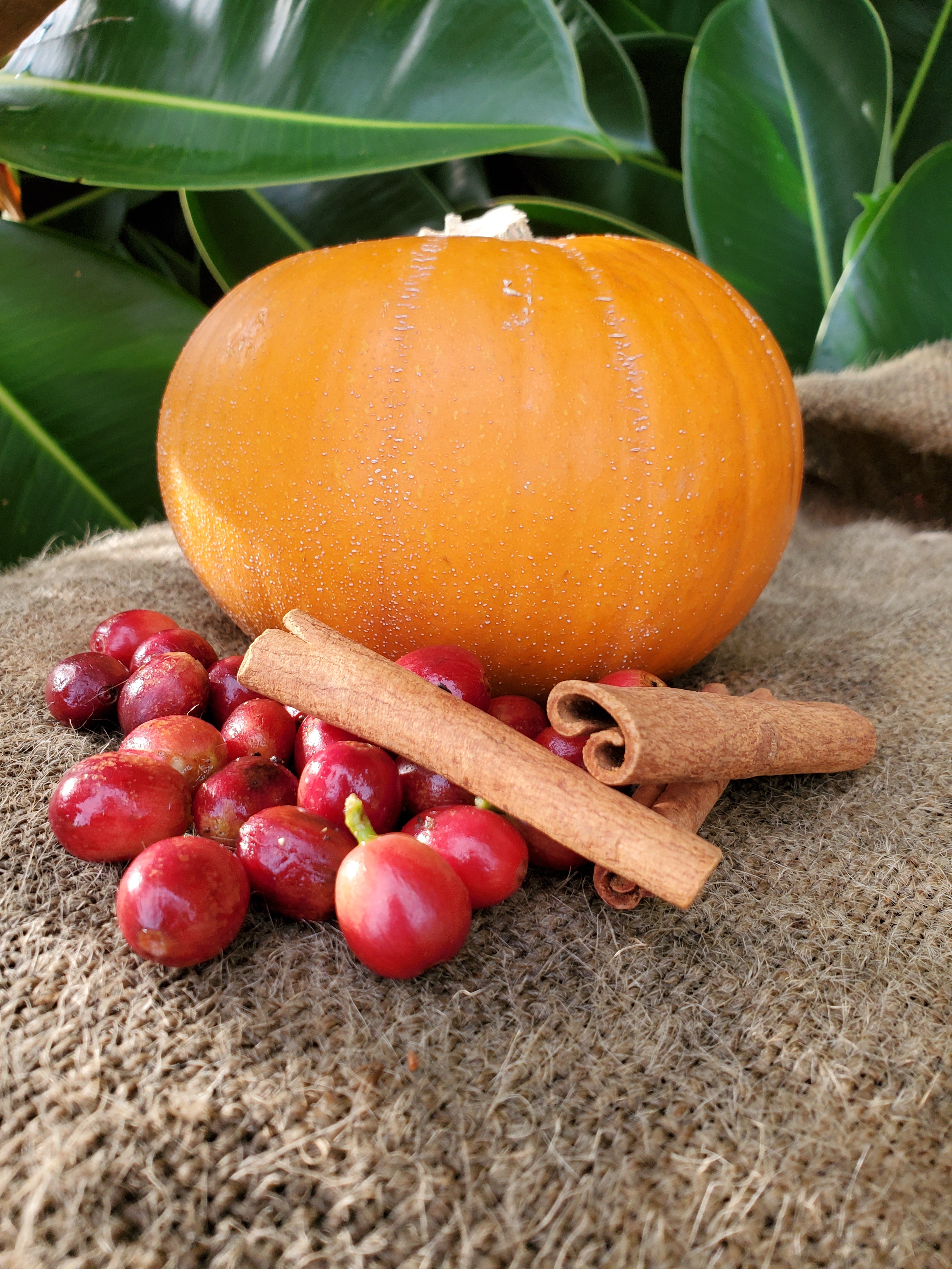 Pumpkin Spice Kona Coffee