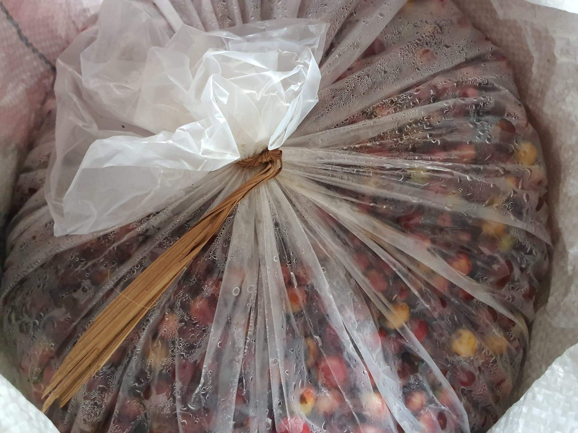 Thailand Mae Chedi Anaerobic Natural