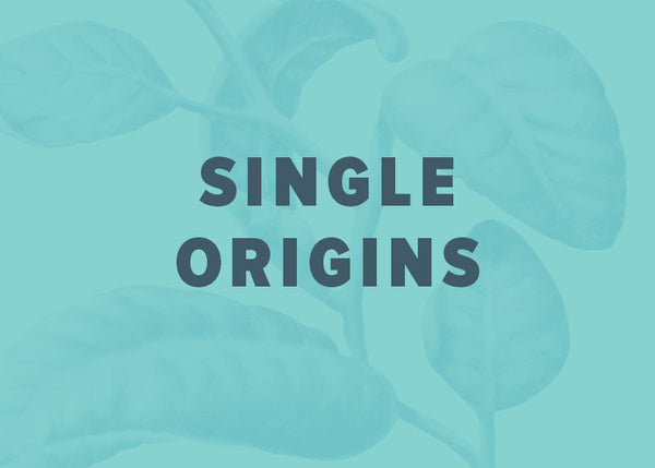 Single Origin Discovery Tour - Subscription